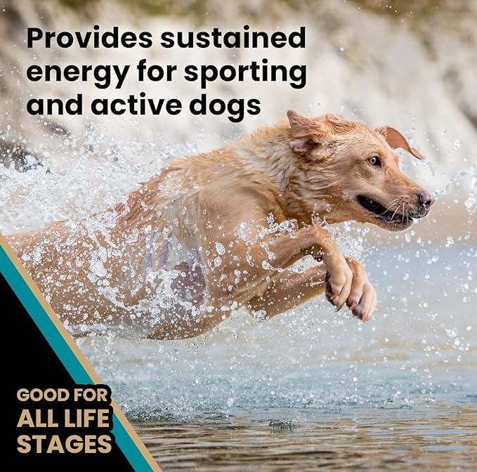 VICTOR Super Premium Dog Food – Hi-Pro Plus Dry Kibble – High Protein Dog Food with 30% Protein – Beef, Chicken, Pork, Fish Meals, Gluten Free - for High Energy and Active Dogs & Puppies, 5lbs