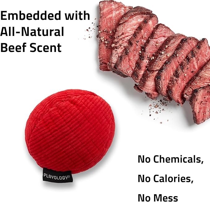Playology Dog Toys | Squeaky Plush Toy Ball for Dogs | Jumbo Beef Scented Toy - Easy to Clean and Made from Non Toxic Materials