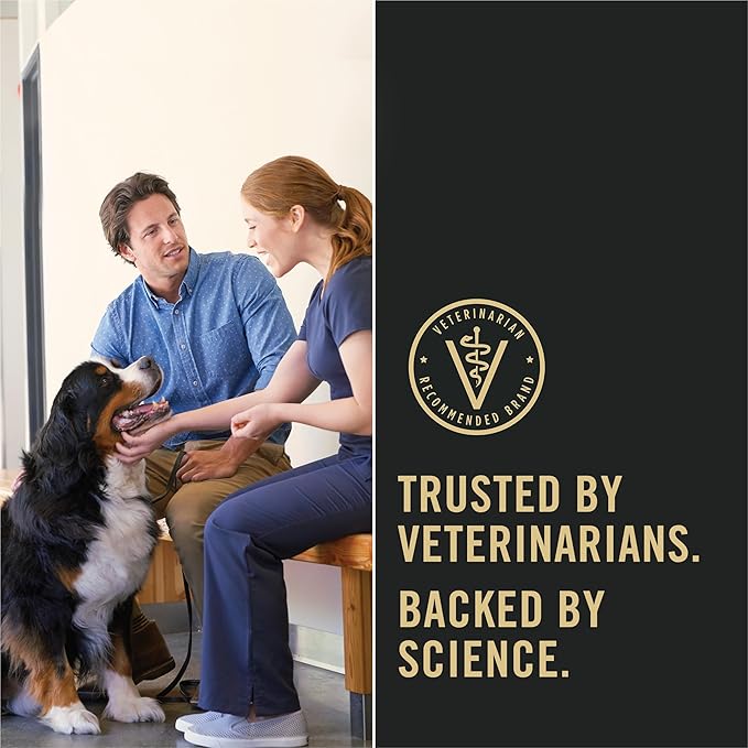 Purina Pro Plan Sensitive Skin and Stomach Dog Food Dry, Adult Salmon & Rice Formula, Digestive Health - 16 lb. Bag