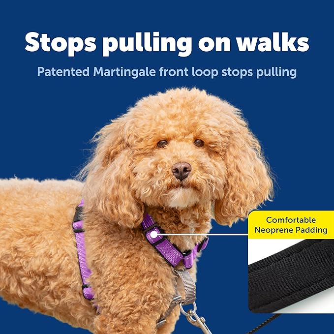 PetSafe 3 in 1 Dog Harness - No Pull Solution for Dogs - Reflective Dog Harness - Front D-Ring Clip Helps Stop Pulling - Comfortable Padded Straps - Top Handle Enhances Control - Plum - Small