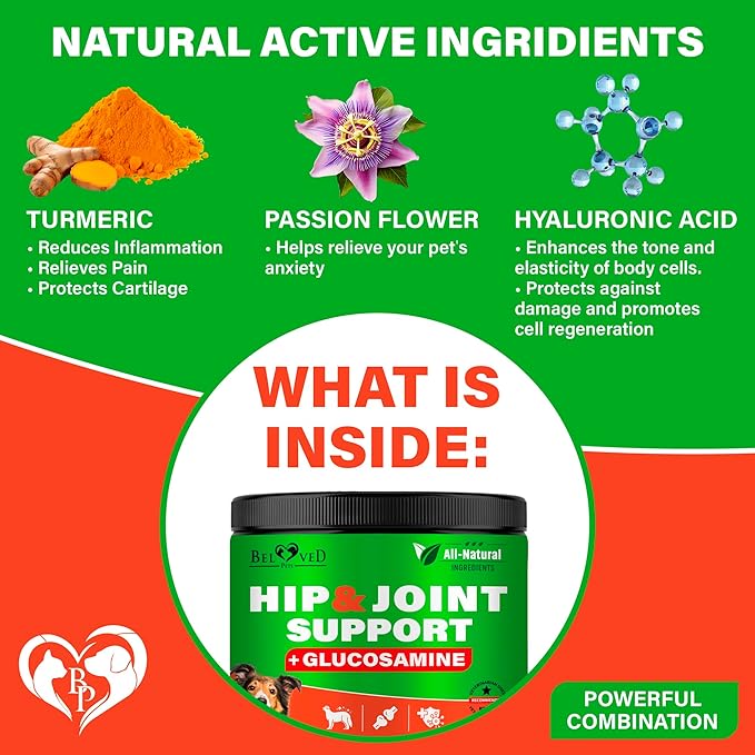Dog Hip and Joint Supplement & Arthritis Pain Relief Treats - Glucosamine Chondroitin MSM Soft Chews for Senior Dogs - Natural Medicine & Support Mobility - Turmeric Vitamins for Dysplasia - USA