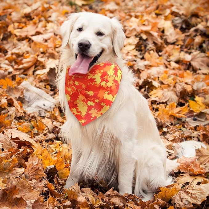 Sweetude 100 Pieces Fall Dog Bandanas Bulk,Thanksgiving Bandanas for Dogs Pumpkin Maple Leaves Pattern Puppy Triangle Scarf Bibs for Medium Small Pet Autumn Costume Accessories(31.5 x 21.65 x 21.65)
