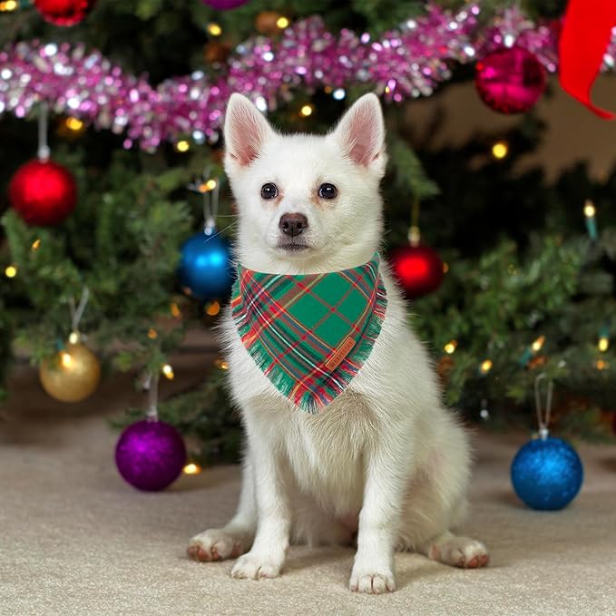 ADOGGYGO 2 Pack Dog Bandana Christmas with Tassels Edges, Stylish Red Green Plaid Puppy Scarf Bibs Kerchief, Premium Cotton Fabric, Pet Christmas Bandanas for Small Dogs (Small)