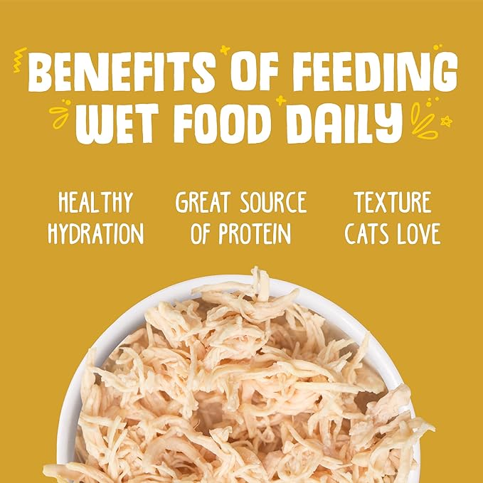 Weruva Classic Cat Food, Paw Lickin’ Chicken with Chicken Breast in Gravy, 5.5oz Can (Pack of 24)