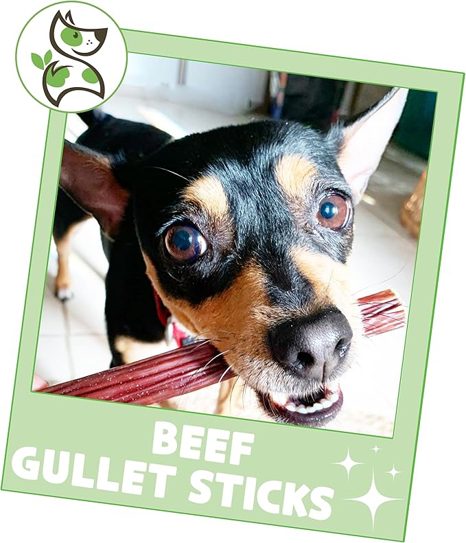 Nature Gnaws Beef Gullet Sticks for Dogs 5-6" (15 Count) - Natural Beef Jerky Stick Dog Chew Treats - Rawhide Free