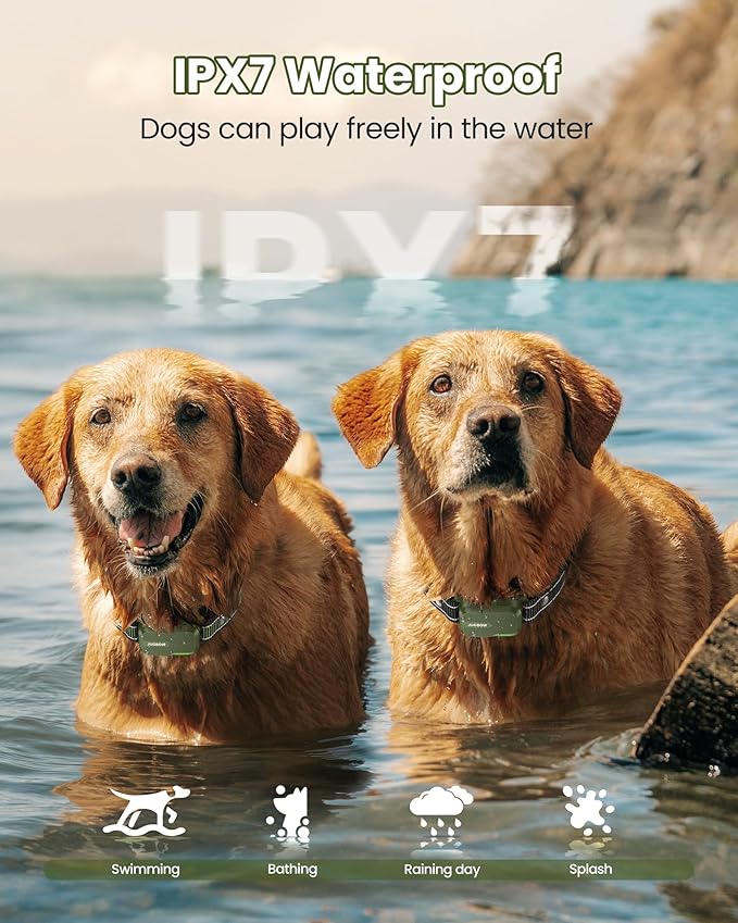 Jugbow Dog Shock Collar 2 Dogs (10-120Lbs) - 4200FT Dog Training Collar with Remote IPX7 Waterproof Electric Collar with 4 Training Modes, Security Lock, Rechargeable e-Collar for All Breeds, Sizes