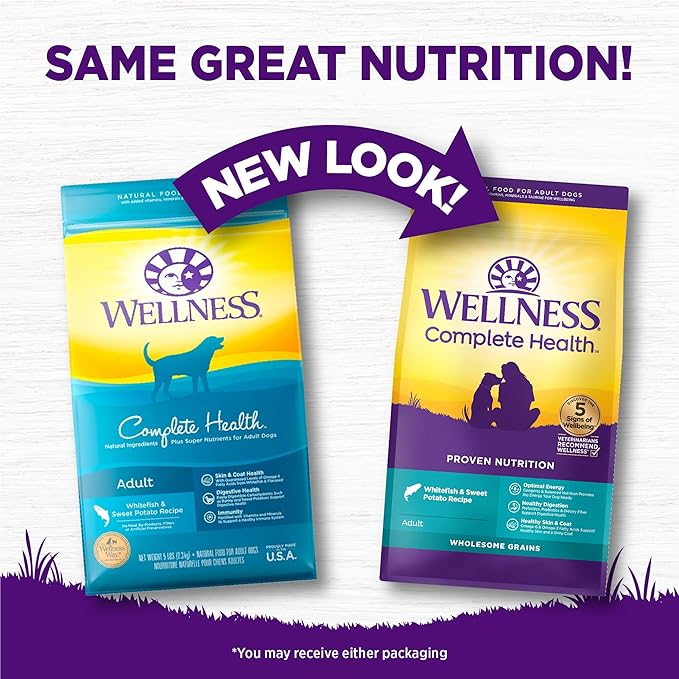Wellness Complete Health Dry Dog Food, Wholesome Grains, Natural, Whitefish & Sweet Potato Recipe, (26-Pound Bag)