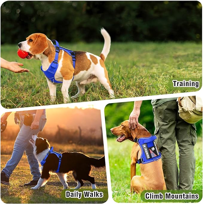WINSEE Service Dog in Training Harness with 5 PCS Patches, Reflective Tactical Dog Vest Harness, Adjustable Soft Oxford Pet Harness with Easy Control Handle, Hook & Loop Panels for Walking Hiking