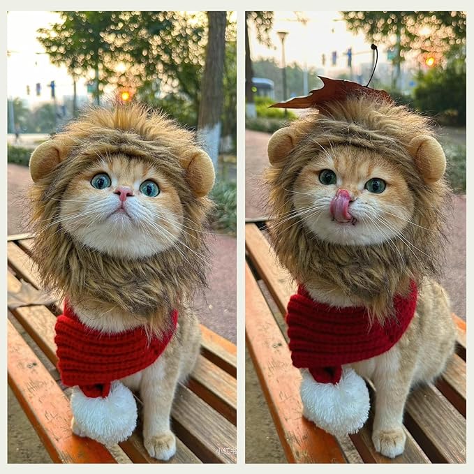 Cat Wig Funny Cute Cat Costume Hat Lion Mane Accessories Dress Up Clothing Festival Party (Brown, Large)