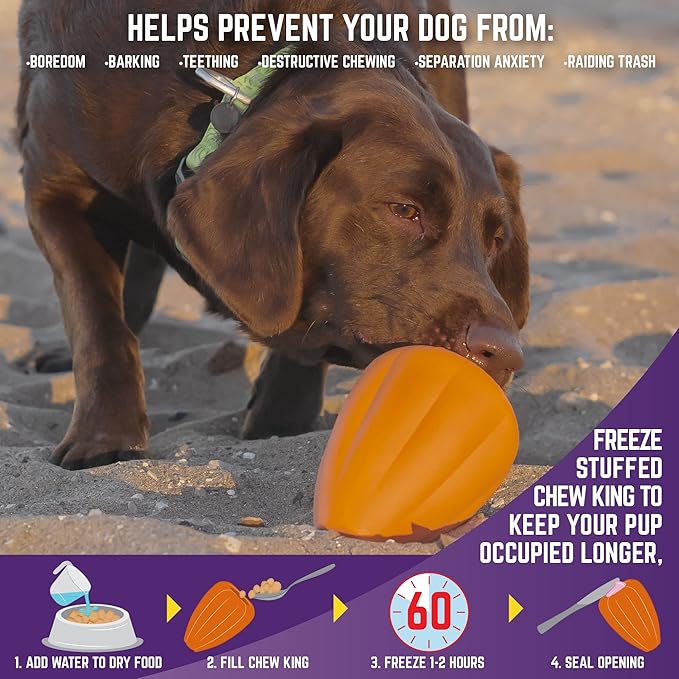 Chew King Premium Treat Dog Toy, Extremely Durable Natural Rubber Toy, Bacon Flavored Dog Toy, Orange, X-Large