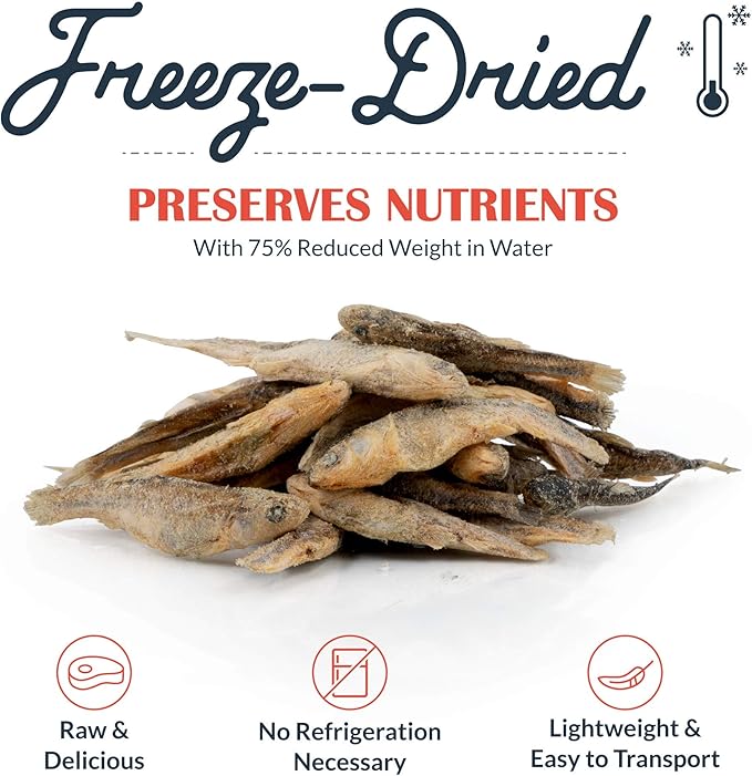 Flourish Pets Freeze-Dried Raw Pet Treats for Dogs, Raw Minnow Chews (1 Oz)