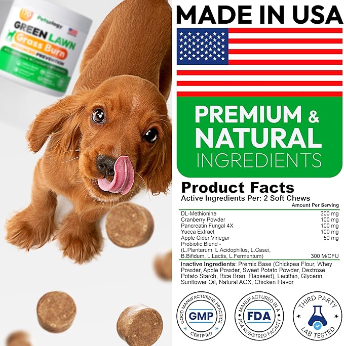 Dog Urine Neutralizer for Lawn - 170 Green Lawn Chews for Dogs - Pee Grass Burn Spot Saver Caused by Dog Urine with Probiotics & Digestive Enzymes - Advanced Gut Health Supplement, Rocks