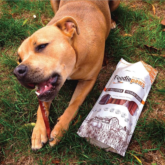FOODIEPAWS All Natural 6 Inch Mega Bully Sticks, Odor Free | Grass-Fed Beef | Single Ingredient & Rawhide-Free | Long Lasting Dental Dog Chews | Packed in USA | for Medium & Large Dogs, 15 Pack