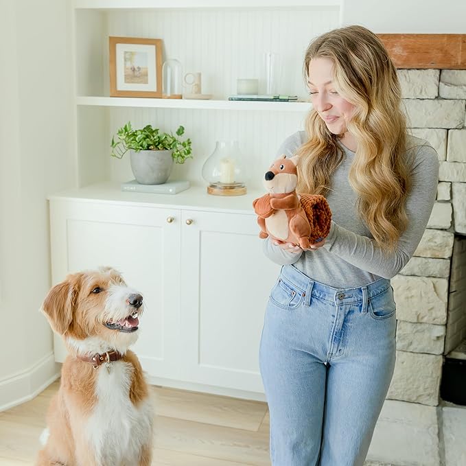 Crinkle Dog Toy Plush Toy - Long Tug-of-War Squeaky Dog Toy Boredom Buster Toys with Snack Pockets - Durable Enrichment Mentally Stimulating Toys for Dogs Small, Medium, Large - Squirrel