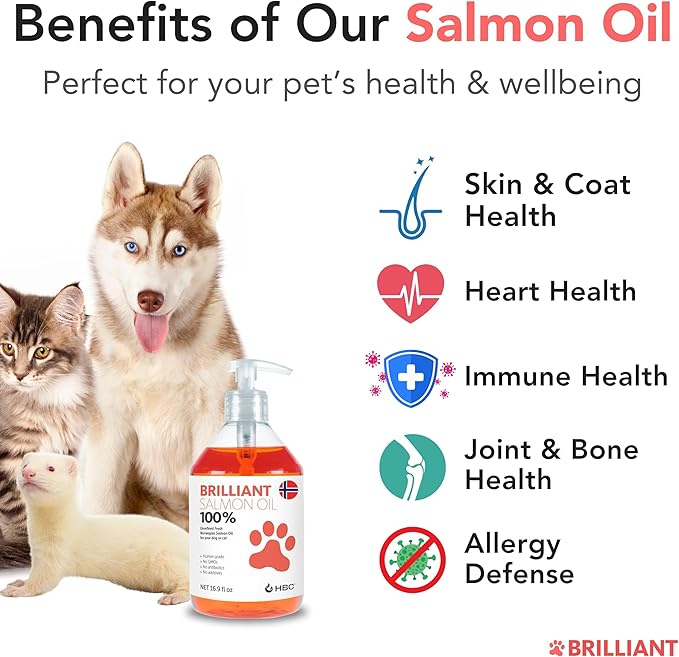 Salmon Oil for Dogs - Healthy Skin & Coat, Natural Norwegian Omega 3 Fish Oil Food Supplement, EPA & DHA Fatty Acids, Ideal for Shedding, Allergy, Itching, Dry Skin, Joint & Bone Health - (2 x 16.9oz)