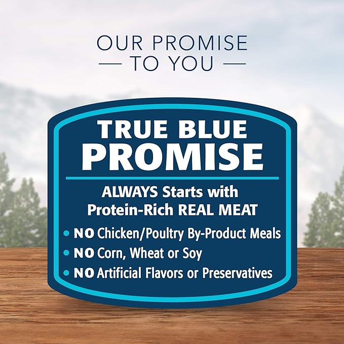 Blue Buffalo Wilderness High Protein Grain Free, Natural Kitten Pate Wet Cat Food, Chicken & Salmon 3-oz cans (48 Count - 24 of Each Flavor)
