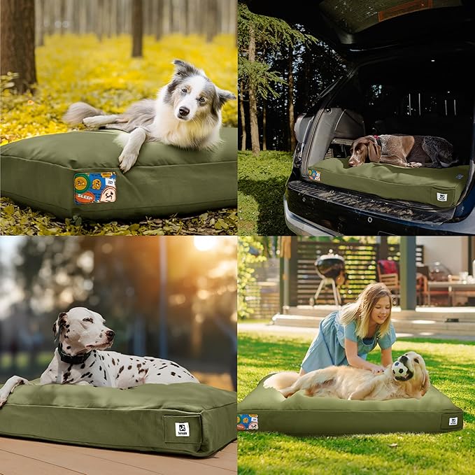 Sytopia 42-Inch Canvas Outdoor Dog Bed, Washable & Waterproof with Chew-Resistant Removable Cover, Ideal for Extra Large Dogs for Indoor, Outdoor, Crate, or Patio Use (Green)