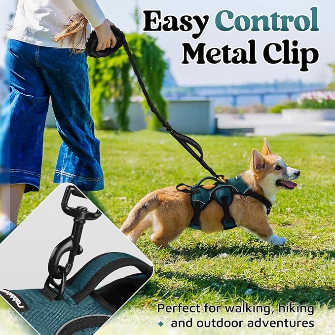 rabbitgoo Escape Proof Dog Harness Small Sized Dog, Soft Padded Full Body Pet Harness, Reflective Adjustable Vest with Lift Handle and Leash Clip for Walking Hiking Training, Dark Green, S