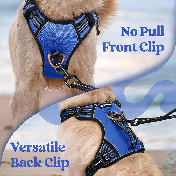 rabbitgoo Dog Harness Medium Sized, No Pull Pet Harness with Soft Padded Handle, Adjustable Reflective Vest with 3 Buckles, Easy Walking Harness with 2 Leash Clips, Blue, XL