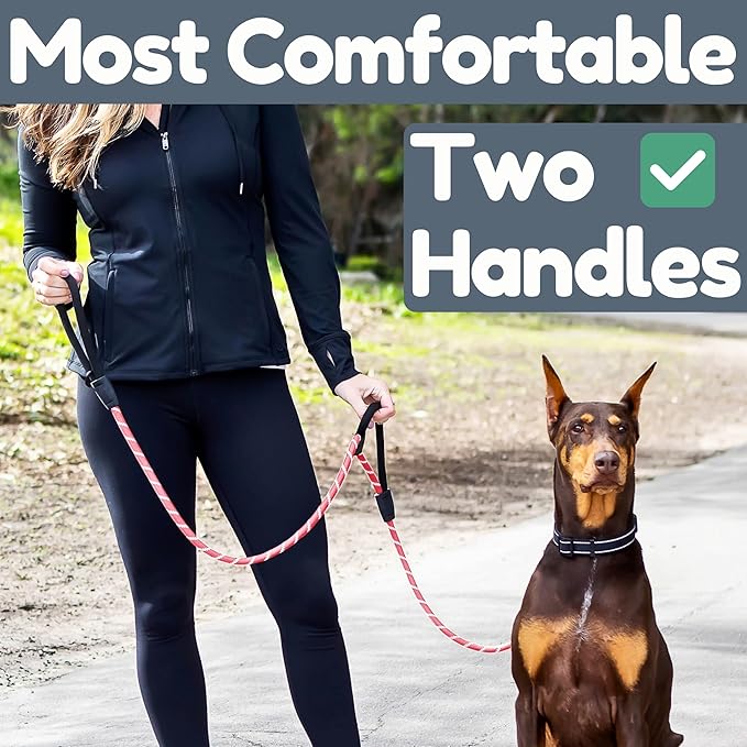 Premium 6 Ft Dog Leash - Two Extra Padded Handles, Heavy Duty Leashes for Medium Dogs to Large Breeds, Reflective, Shock-Absorbing, Anti-Pull Rope Leash, Strong Pet Lead for Everyday Walks - Roam Gear