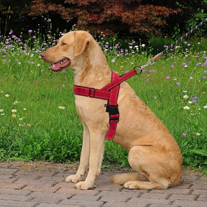 Red No Pull Dog Harness for Small Medium Large Sized Dog, Reflective Escape Proof Adjustable Dog Harnesses with 2 Patch, L
