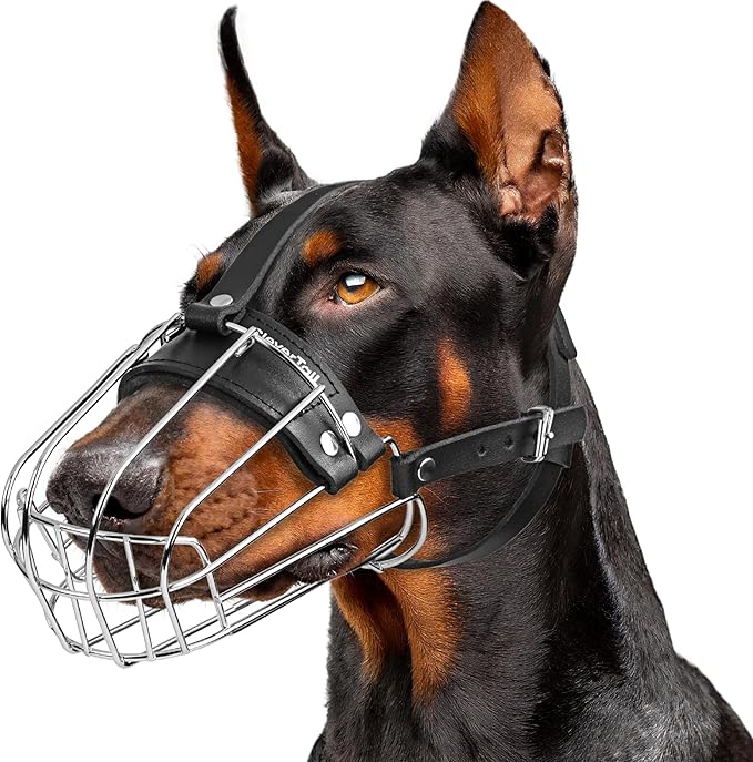 Metal Doberman Muzzle for Large Sized Dog - Cage Muzzles for Barking and Prevent Biting - Steel Wire Basket Muzzle for Medium and Large Dogs Doberman, Collie, Belgian Malinois, Husky etc.
