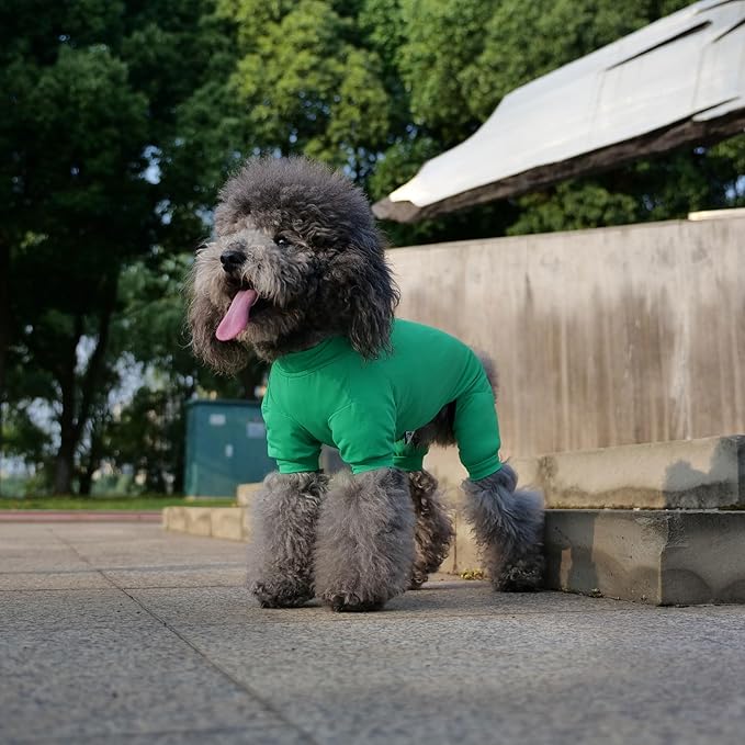 LoveLongLong Dog Jumpsuit with UV Protection and Quick-Dry Fabric for Spring Summer Pet Pajamas Leaf Green S