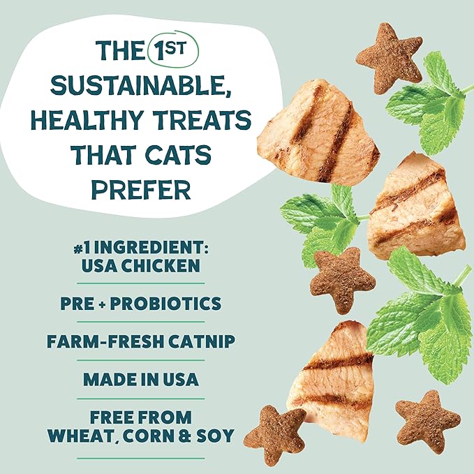Shameless Pets Crunchy Cat Treats - Catnip Treats for Cats with Digestive Support, Natural Ingredients Kitten Treats with Real Chicken, Healthy Flavored Feline Snacks - Catnip N Chill, 3-Pk