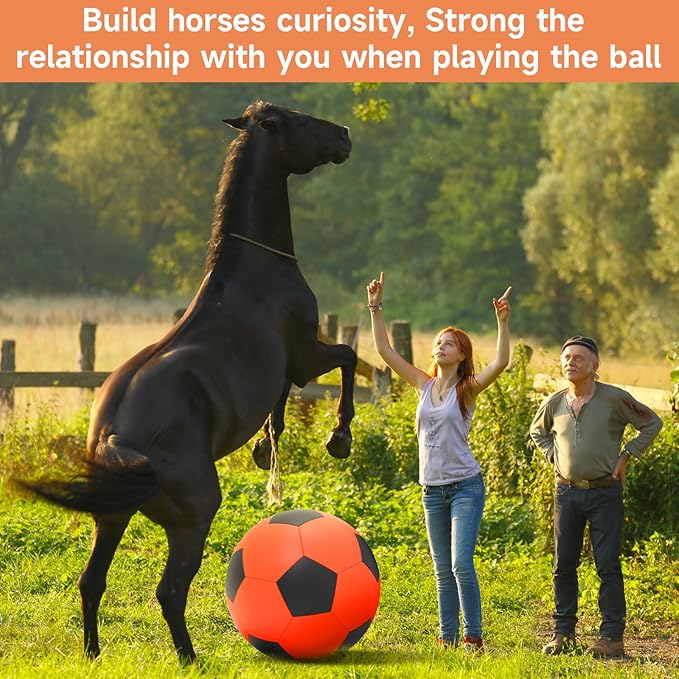 QDAN Herding Ball for Dogs, 25 inch Dog Balls, Giant Dog Toys Horse Toy, Herding Ball for Australian Shepherd, Orange