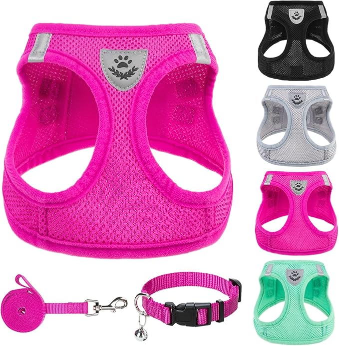 PUPTECK Adjustable Dog Harness Collar and Leash Set Step in No Pull Pet Harness for Small Medium Dogs Puppy and Cats Outdoor Walking Running, Soft Mesh Padded Reflective Vest Harnesses, Solid Pink XXS