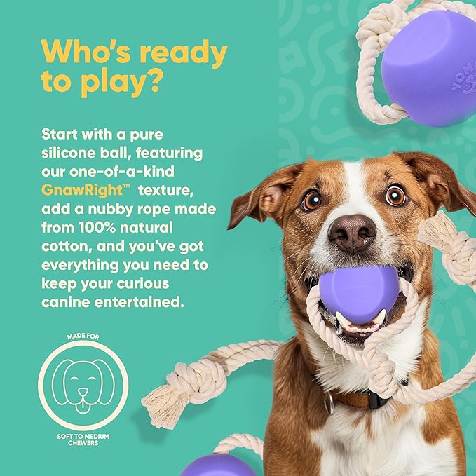 Yomp BallRope Ball on a Rope Dog Toy – Interactive Tug of War Toy for Soft and Medium Chewers, Teething Puppy Ball – Made from Pet-Safe, Non-Toxic Silicone