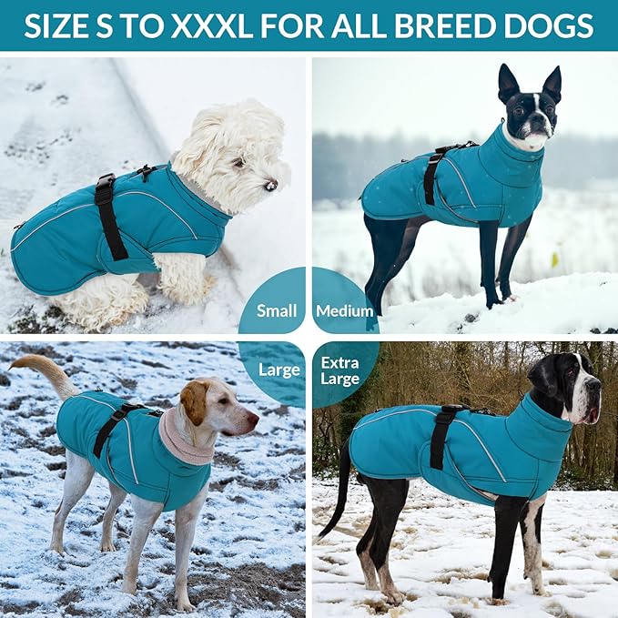 Queenmore XXL Dog Coat, Winter Jacket for Large Dogs, Waterproof Puffy Snowsuit, Adjustable Reflective Fleece Lining Warm Padding Parka for Cold Weather, Blue 3XL