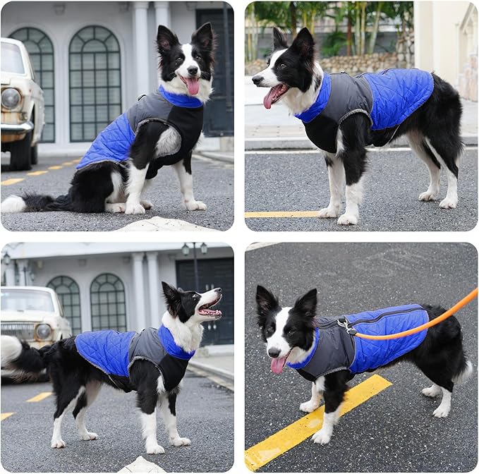 Warm Fleece Dog Coats for Large Dogs,D-Rings Waterproof Puppy Jacket for Cold Winter,Blue XXXL