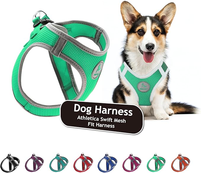 Kruz Dog Harness (Chest 16"-17", Weight 10–15 lbs) Athletica Adjustable Heavy Duty No Choke Puppy Vest for Small Dogs Lightweight Air Mesh, Reflective, Puppy Essentials – Mint Green, Medium
