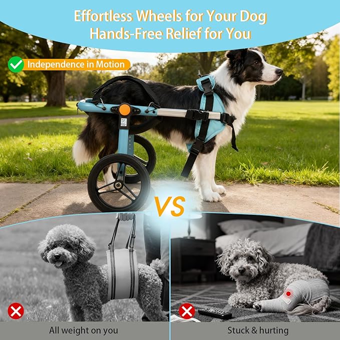 TailWaggers Small Dog Wheelchair for Back Legs | Adjustable Mobility Aid | All-Terrain Wheels