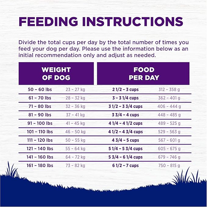 Wellness Complete Health Dry Dog Food, Large Breed, Grain Free, Natural, Chicken Recipe, (24-Pound Bag)