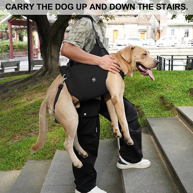Coodeo Dog Lift Harness, Pet Support & Rehabilitation Sling Lift Adjustable Padded Breathable Straps for Old, Disabled, Joint Injuries, Arthritis, Loss of Stability Dogs Walk (Black, XS)