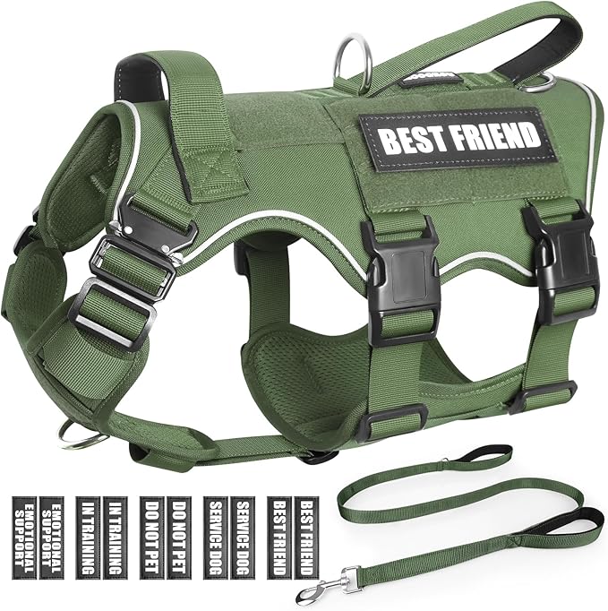 Tactical Service Dog Vest Harness and Leash Set,Heavy Duty Dog Harness with Metal Buckles for Medium Sized Dogs,Adjustable No Pull Pet Vest with Patches for Training Working Hiking,Green M