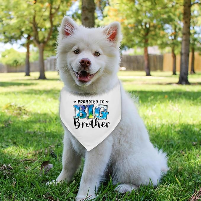 Promoted to Big Brother Baby Announcement Dogs Bandana Gender Reveal Dog Bandana Pregnancy Announcement Photo Prop Pet Scarf Accessories for Pet Dog Lovers Gifts - White