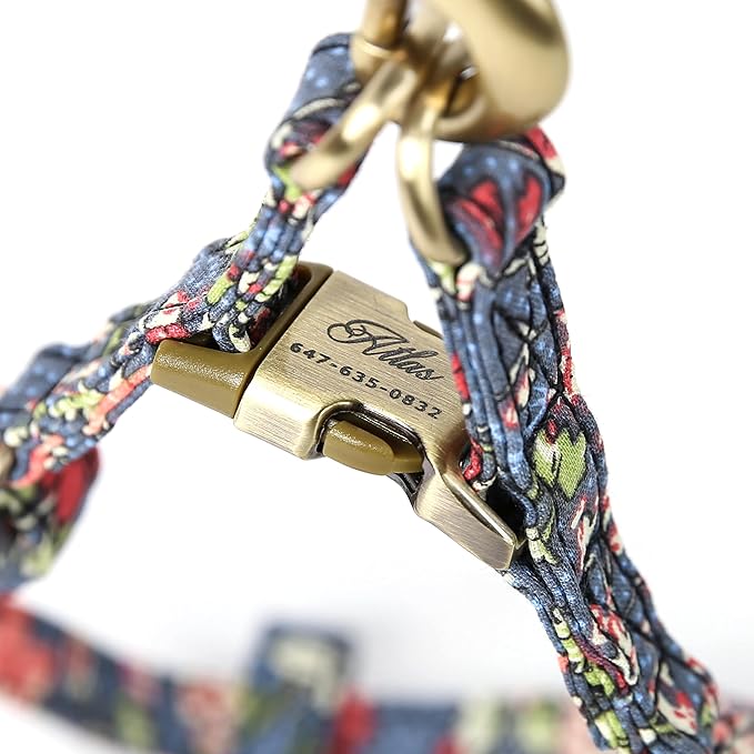 Angie and Allie Organic Cotton Personalized Step in Dog Harness,Custom Dog Halter Vests,Adjustable No Pull Canine Halter Harness for Small Medium Large Dogs