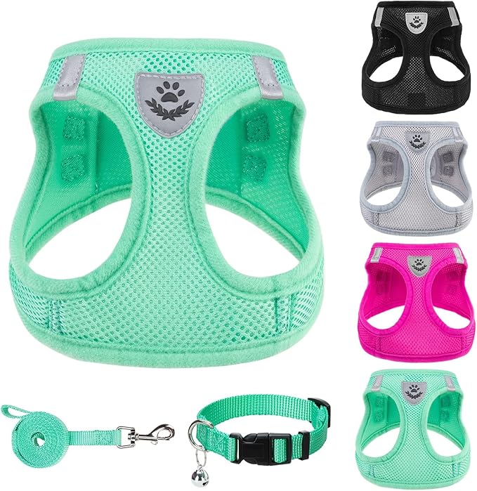 PUPTECK Adjustable Dog Harness Collar and Leash Set Step in No Pull Pet Harness for Small Medium Dogs Puppy and Cats Outdoor Walking Running, Soft Mesh Padded Reflective Vest Harnesses, Solid Green L