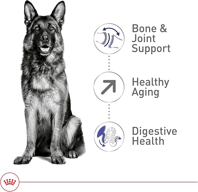 Royal Canin Size Health Nutrition Large Aging 8+ Senior Dry Dog Food, 30 lb Bag