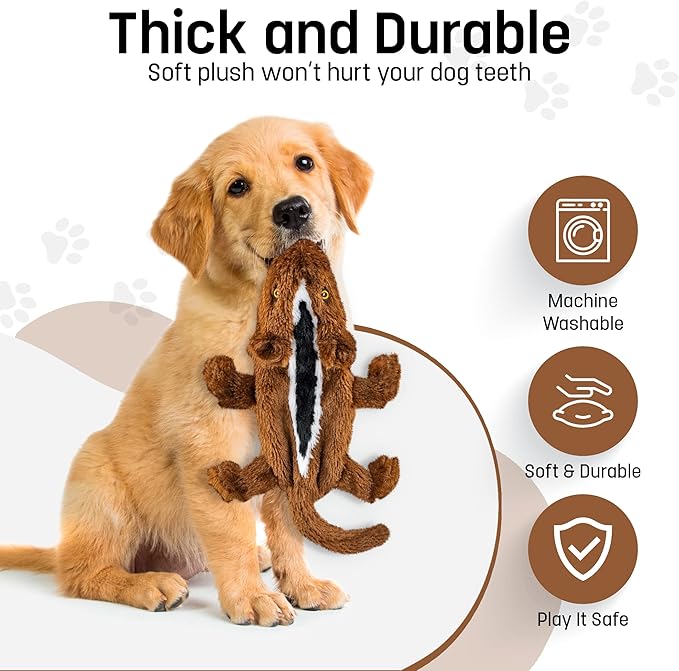 FGA MARKETPLACE Squirrel Flat NO Stuffing NO Squeak Plush Dog Toy, Funny Style Will Entertain Your Pet for Hours, Recommended for Small and Medium Dog 21 INCH Long