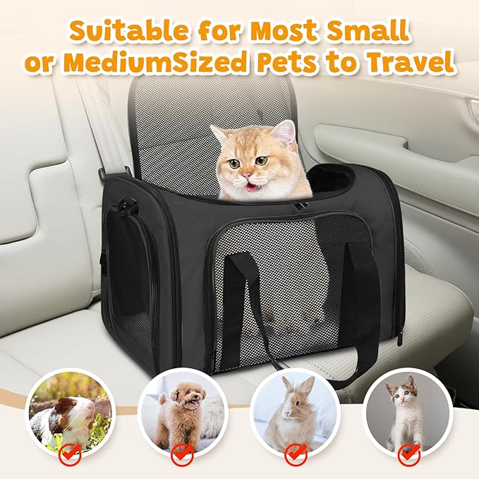 Airline Approved Pet Carrier for Cats & Small Dogs – Soft Sided Travel Bag 17"x11"x11", Portable Collapsible Under Seat Pet Carrier with Mesh Windows & Shoulder Strap, Black