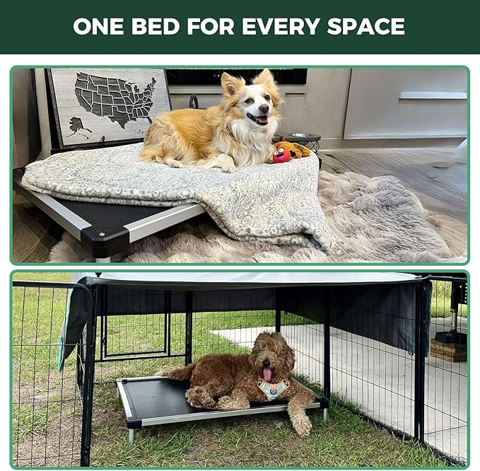 FXW TitanNest Chew-Proof Elevated Dog Bed, Raised Cot for Indoor/Outdoor/Camping Use, Durable & Waterproof Cooling Pet Bed for Large Dogs, 47.0" L x 29.0" W x 7.3" H, Black