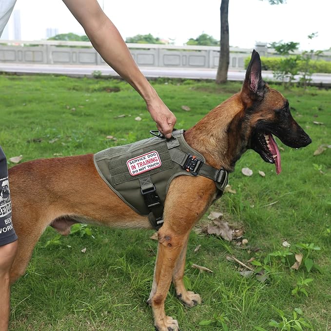 ICEFANG Tactical Dog Harness, Large Size,2X Metal Buckle,Working Dog MOLLE Vest with Handle,No Pulling Front Leash Clip,Hook and Loop Panel (Green,L (Pack of 1))