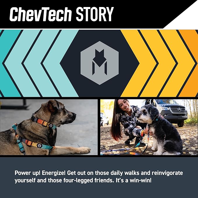 Wolfgang Heavy Duty Martingale Dog Collar with Quick Release Nylon Buckle for Walking & Training, ChevTech Print, Large