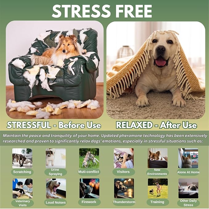 8-in-1 Dog Calming Pheromone Diffuser Kit – Pet Stress Support (2 Plug-Ins + 6 x 48ml Refills), Helps Calm Dogs During Thunderstorms, Travel, Separation, Fireworks & Vet Visits, 180-Day Supply