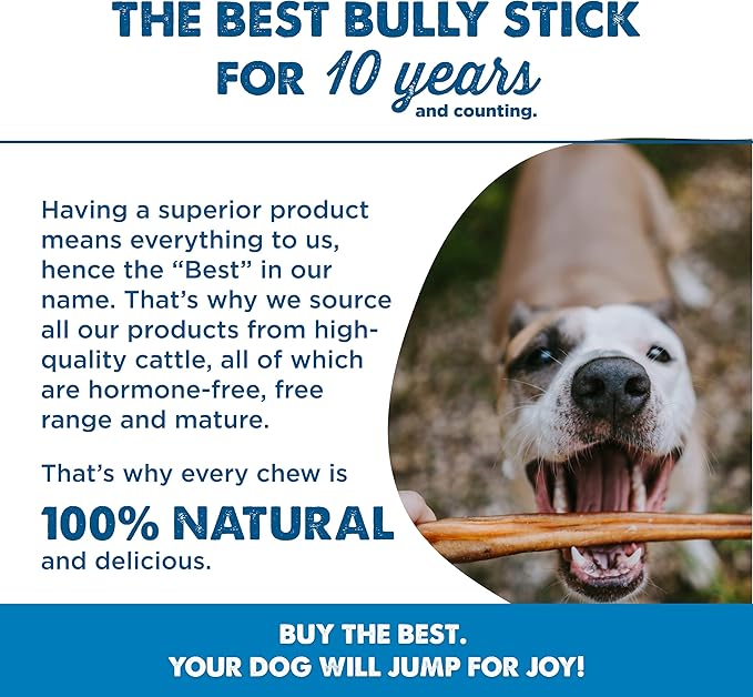Best Bully Sticks 4 Inch Bully Sticks - 16 oz (Pack of 1) - 100% Natural Grass-Fed, Grain and Rawhide Free, Ideal for Small or Young Canines