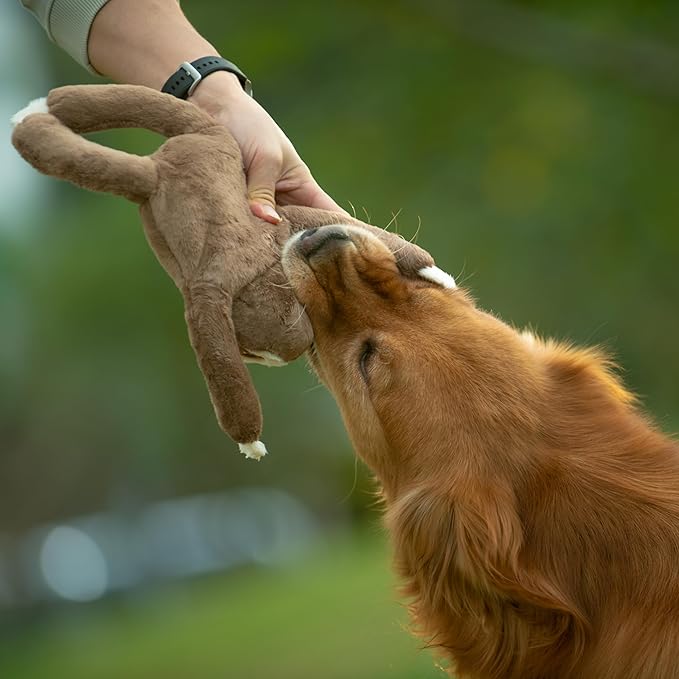 Squeaky Disk & Built-in Rope Dog Plush Toy, Bustling Safari Collection, 15", for Dogs of All Breeds (Sloth)